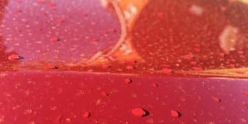 DIY Paint Chip Repair: Save $500+ in 3 Steps (2025) - Cover Image