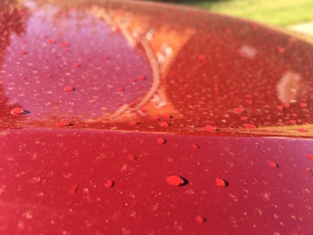 DIY Paint Chip Repair: Save $500+ in 3 Steps (2025)