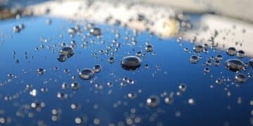 DIY Car Detailing: Get a Showroom Shine for Under $50 - Cover Image