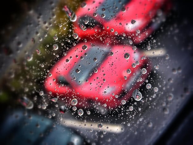 Act Now: Free Car Wash with Detailing Service Special This Month
