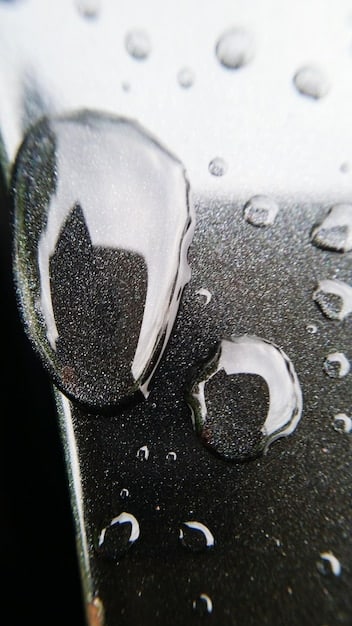 Ceramic Coating vs. Wax: Best Car Paint Protection in 2025