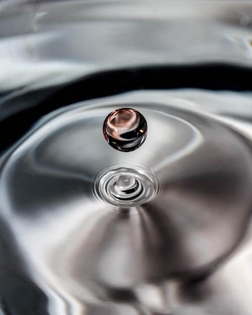 The Best Car Detailing Products for Beginners: A Comprehensive Guide