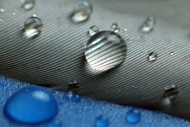 A car with a ceramic coating, showcasing its hydrophobic properties as water beads up and rolls off the surface, demonstrating the coating's ability to repel water and protect the paint.