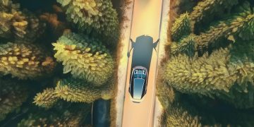 US DOT Investigates Tesla Autopilot: What Drivers Need to Know - Cover Image