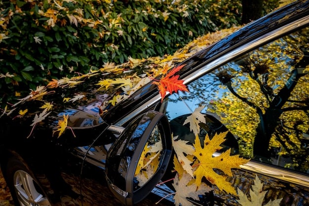 A person using a leaf blower to dry a freshly washed car, focusing on the technique of using a non-contact method to prevent scratches and water spots. The car is gleaming, demonstrating the effectiveness of the drying process.